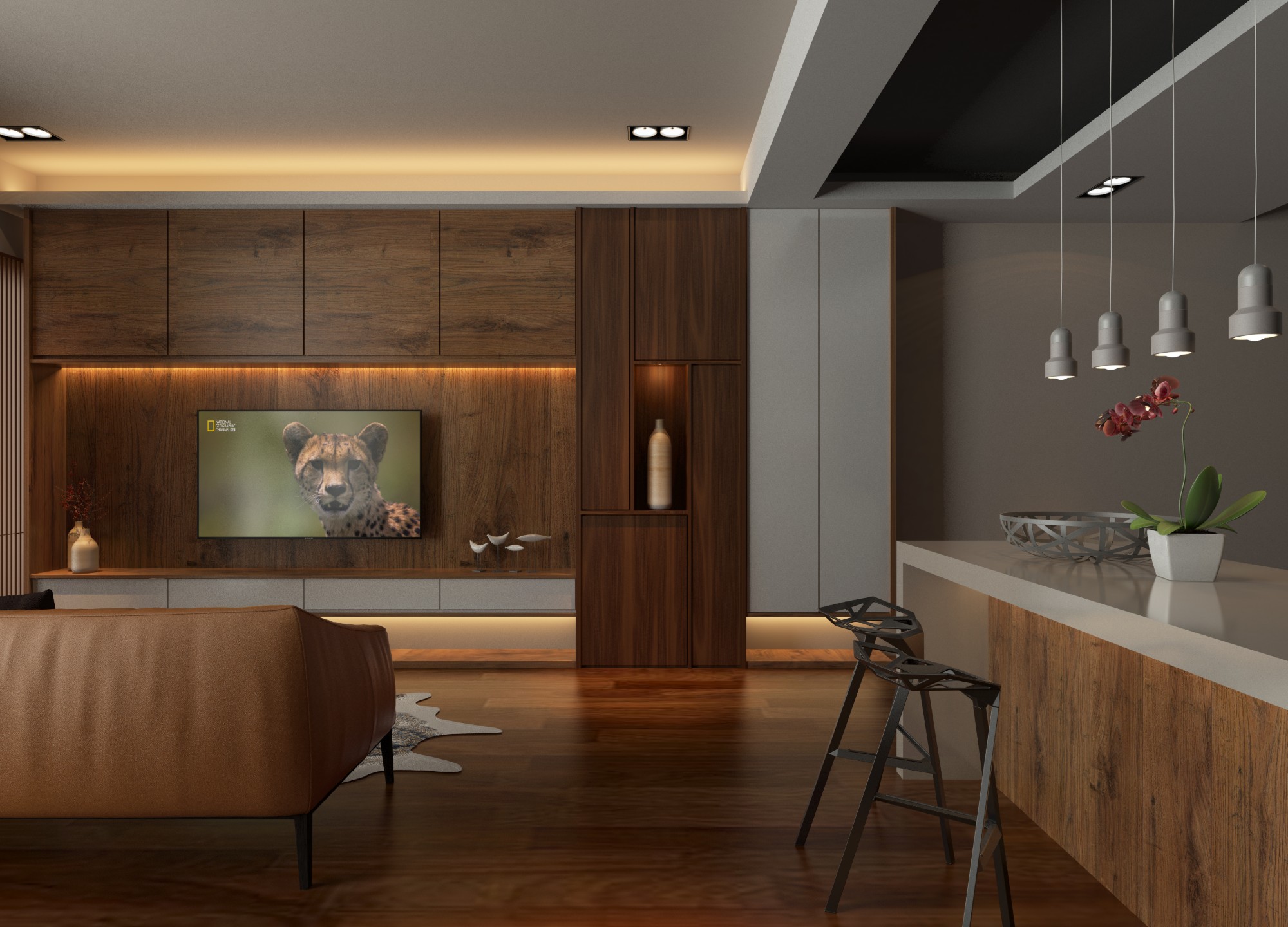 Iria — interior living and dining area with timber finishes